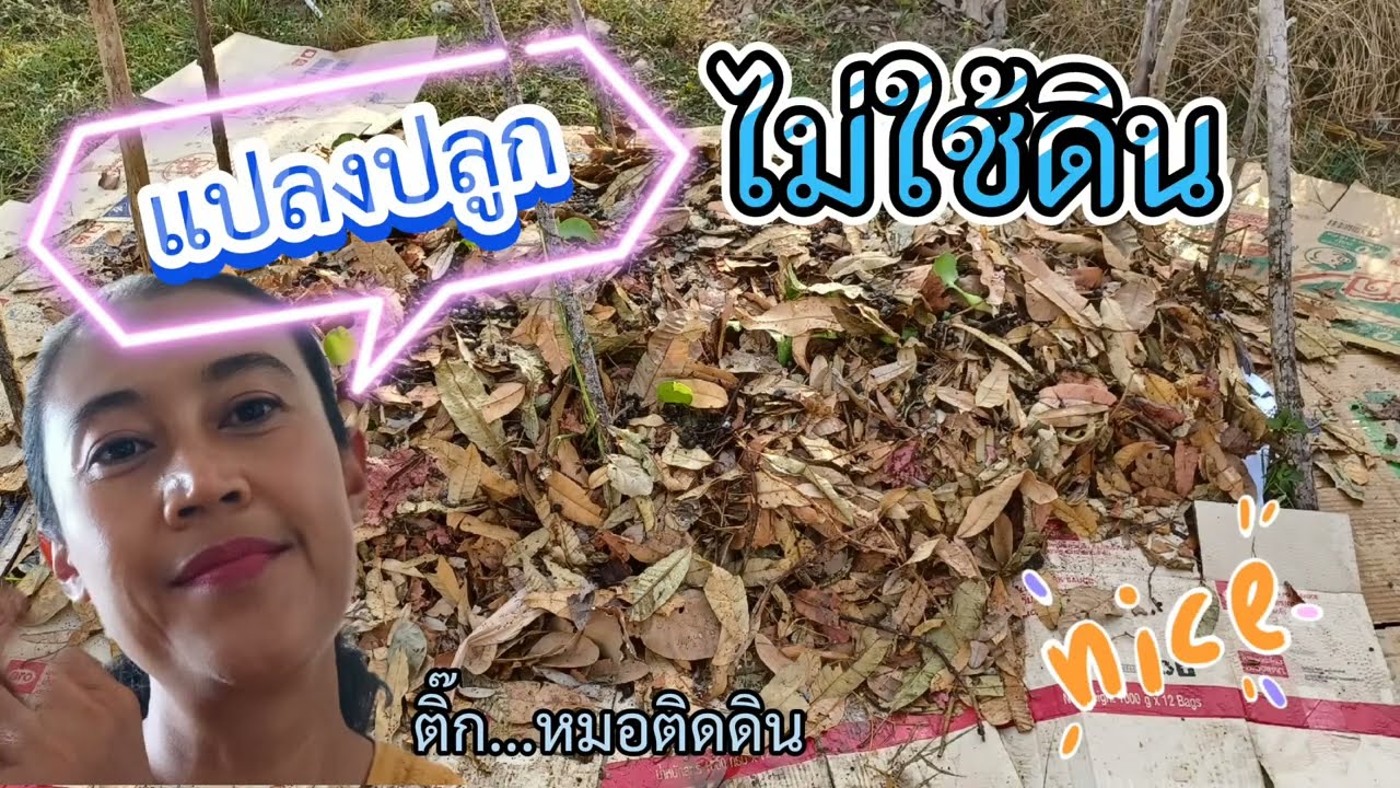 เตรียมแปลงปลูก ไม่ใช้ดิน ไม่ขุด ไม่ไถ ไม่เปลืองแรง ต้นไม้งาม