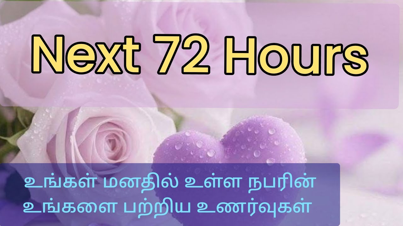 Next 72 hours💜உங்கள் மனதில் உள்ள நபரின் உங்களை பற்றிய உணர்வுகள் #tarot 