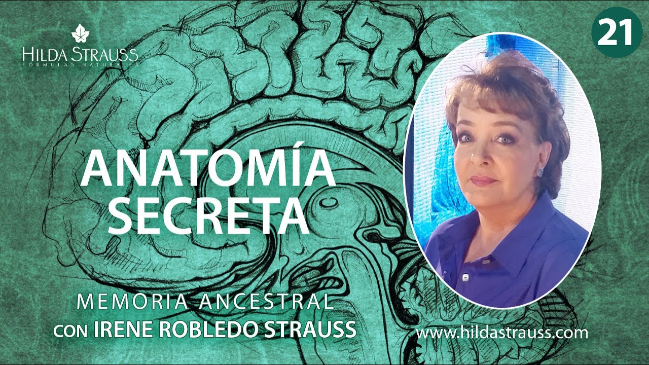 ANATOM&Iacute;A SECRETA - English Subtitles