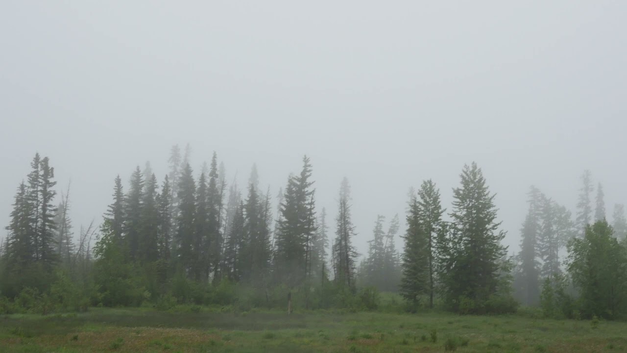bon iver / novo amor type instrumental 