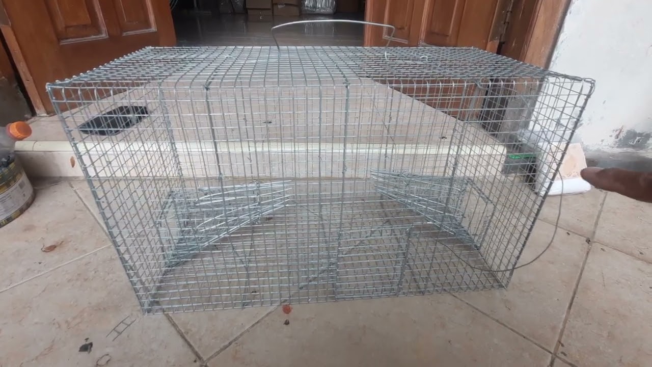 Bubu perangkap tikus besar dengan dua buah corong guna masuk tikus