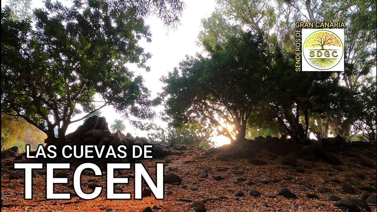 LAS CUEVAS DE TECÉN,TELDE (GRAN CANARIA)