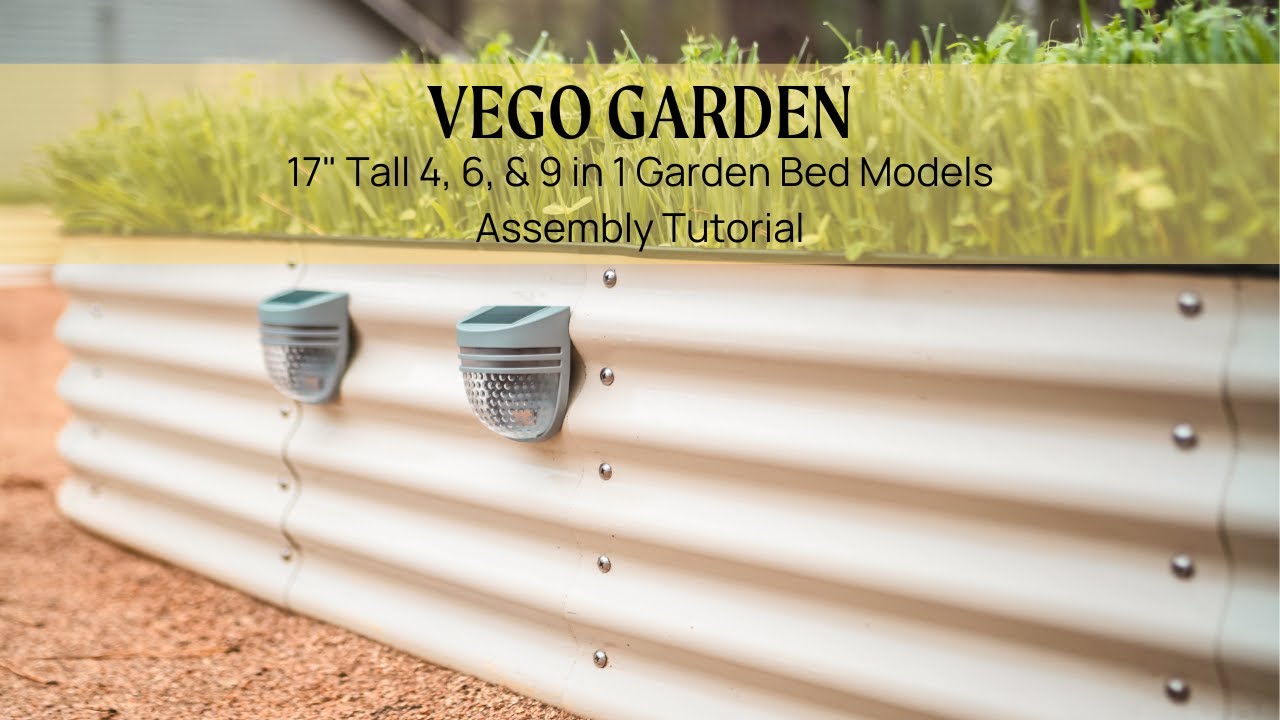 Raised Bed 17