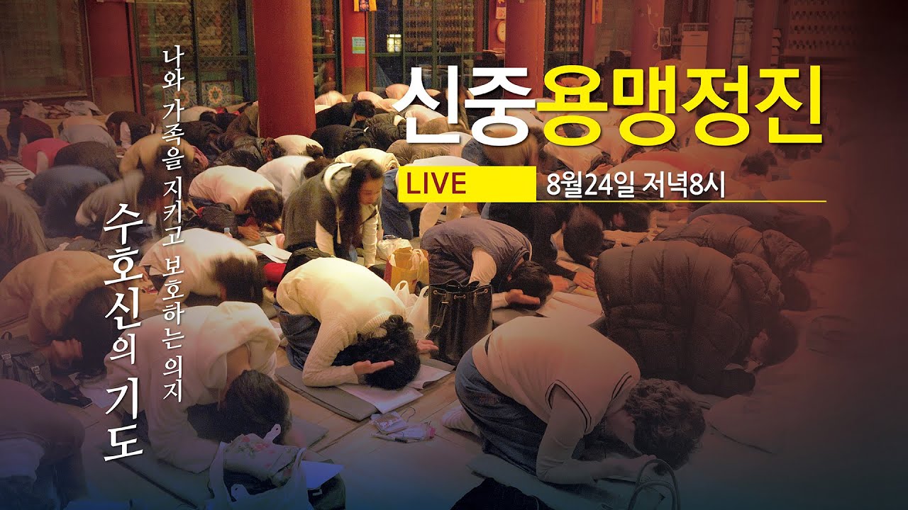 조계사 신중용맹정진(8/24 저녁8시) #수호신의기도 #용맹정진 #생중계
