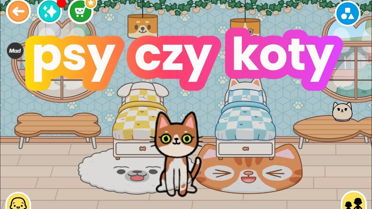 Dodatek zwieżakowy w toce!!! 🐶🐱