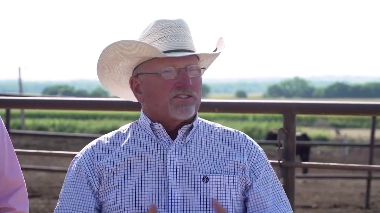 Beef and Corn: Partners in Sustainability