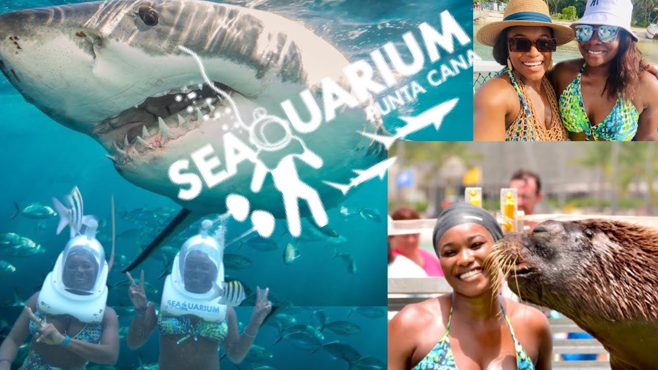 Dominican Republic Vlog | SEAQUARIUM excursion Tour & Review