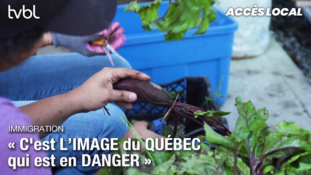Accès local | 12 mars 2026 | Restrictions gouvernementales, nouveau campus et rodage à L'Urlu