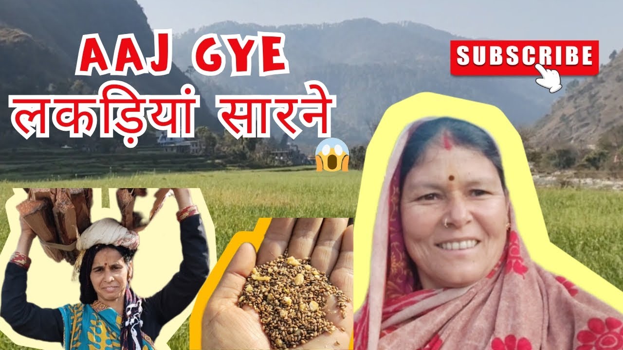 आज गए लकड़ी सारने 😱 #nature #phadilifestyle #phadivibes #vlog 