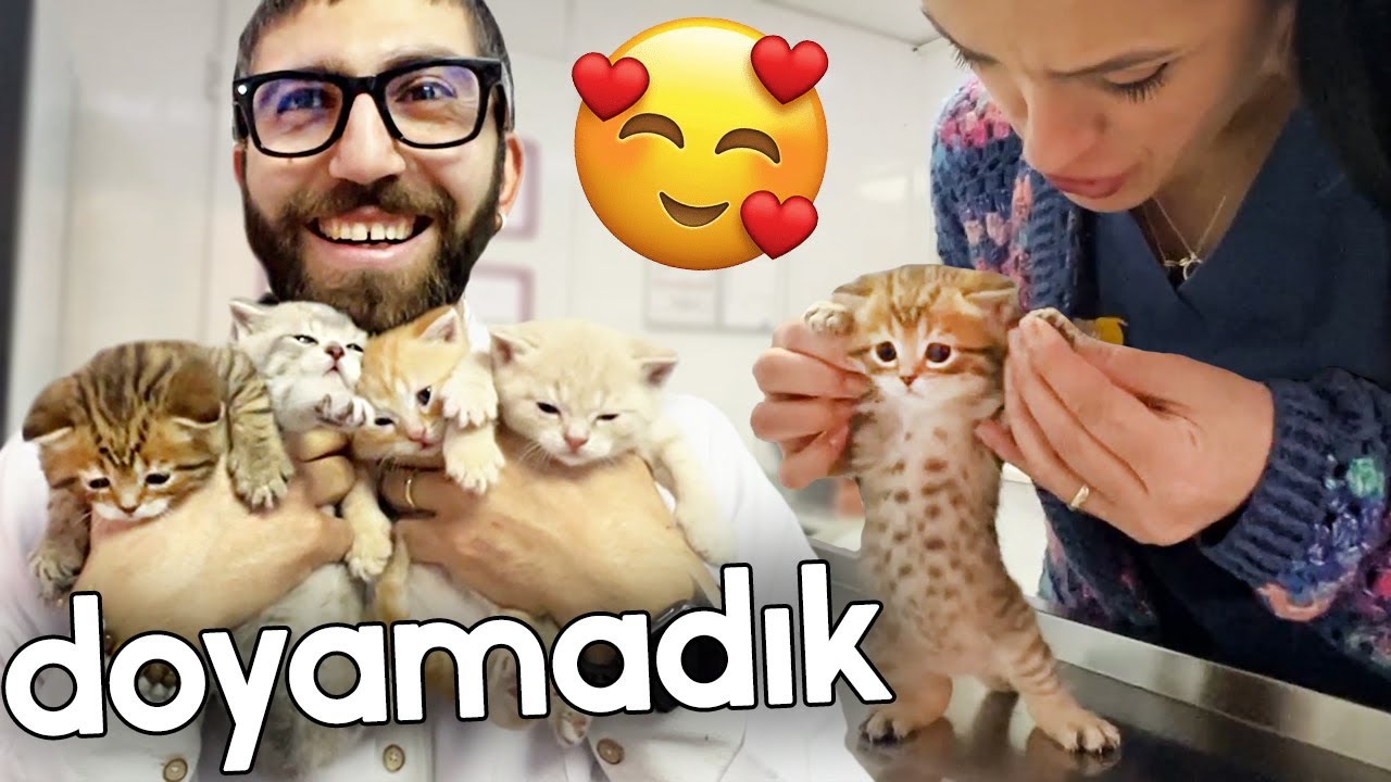 YEMELİK YAVRULAR GELDİİİ 😍 | anne ve yavrular - paris - luna - mars - şans