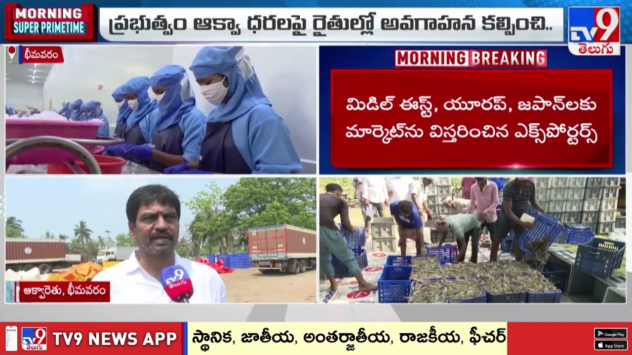 Iran War Effect: ఏపీ ఆక్వా ఉత్పత్తులపై ఇరాన్, ఇజ్రాయిల్ యుద్ధ ప్రభావం - TV9