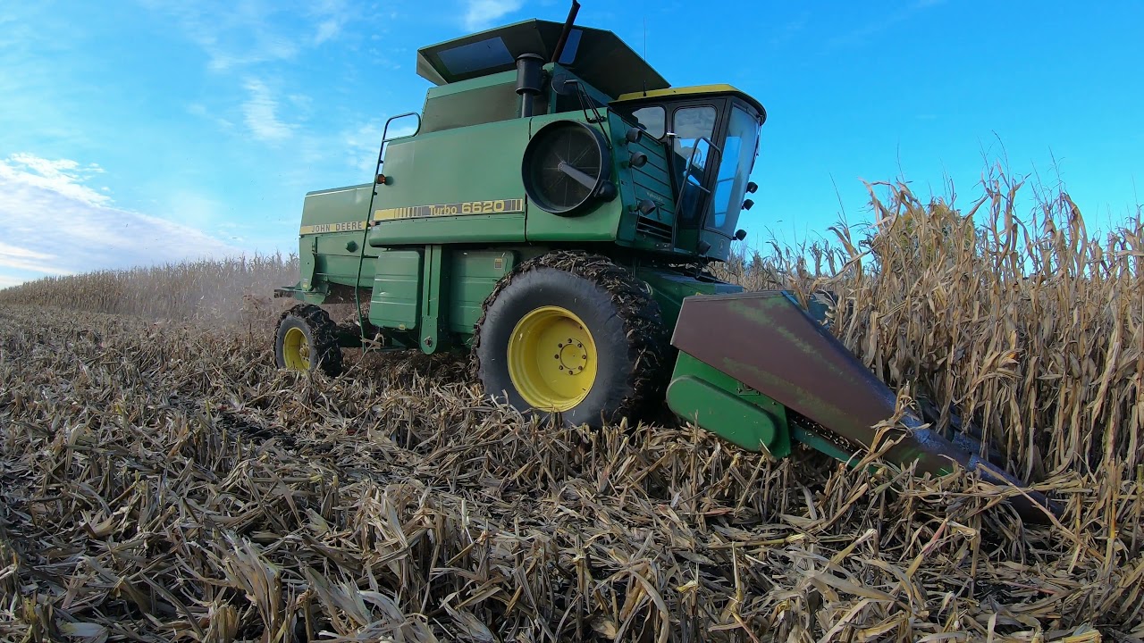 combining corn 2021 john deere 6620