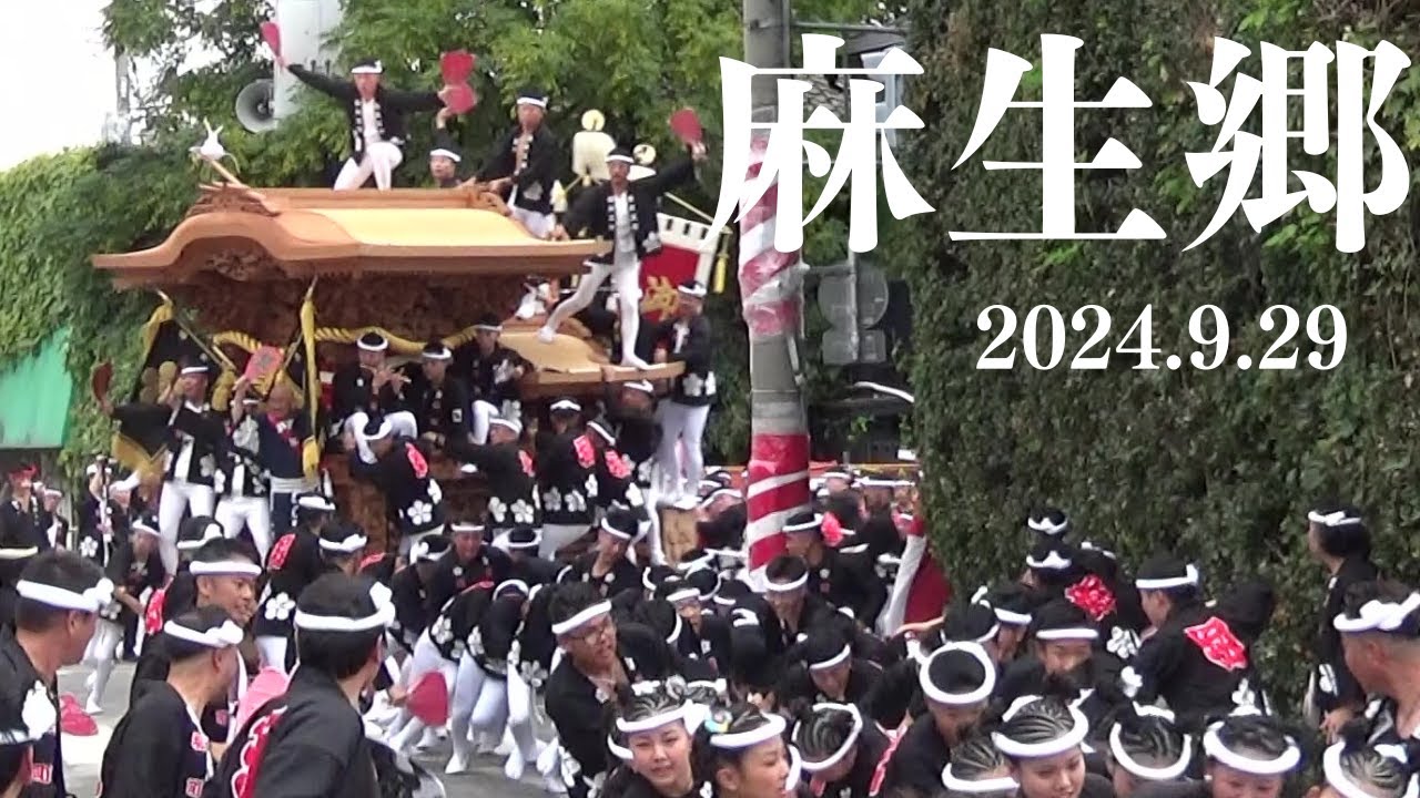 令和6年9月29日　貝塚市麻生郷だんじり祭　試験曳き　たこぼうず　全やりまわし　事故あり