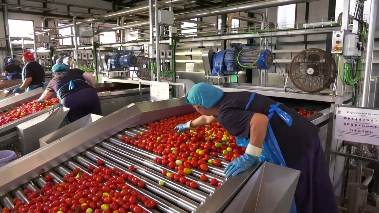 Noticia Visita a la planta de tomate de El Trobal