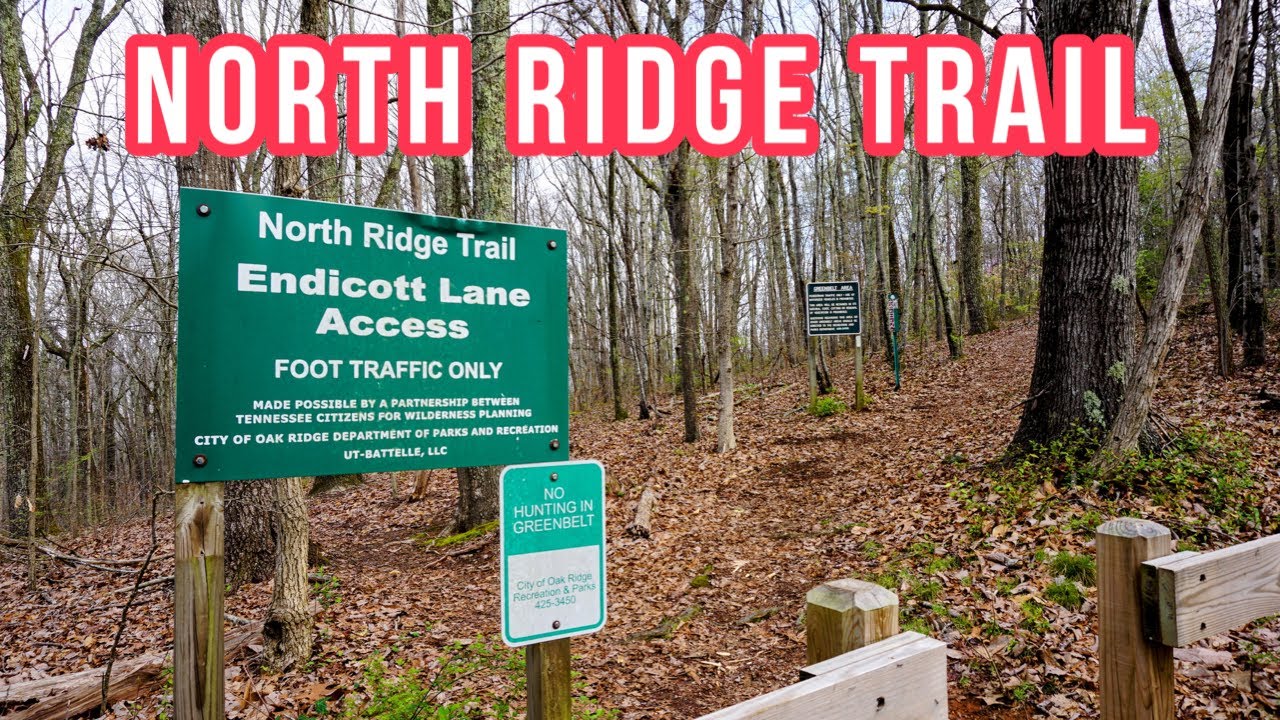 Hiking North Ridge Trail in Oak Ridge, Tennessee