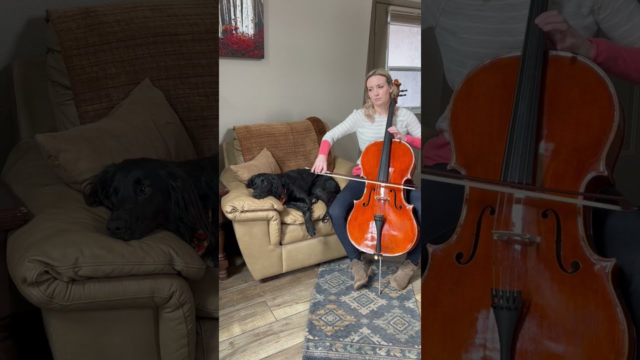 Enchanter Melody - Dragon Age Inquisition (mini cello cover) by Jessika Soli