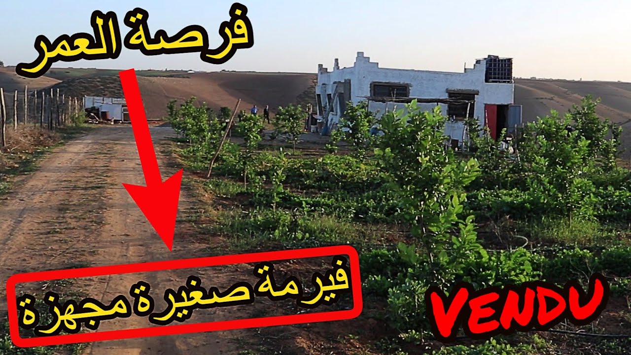 ✨فيرمة صغيرة 1 هكتار بالمنزل والبئر والاشجار والسياج محفظة ✨ تيفلت