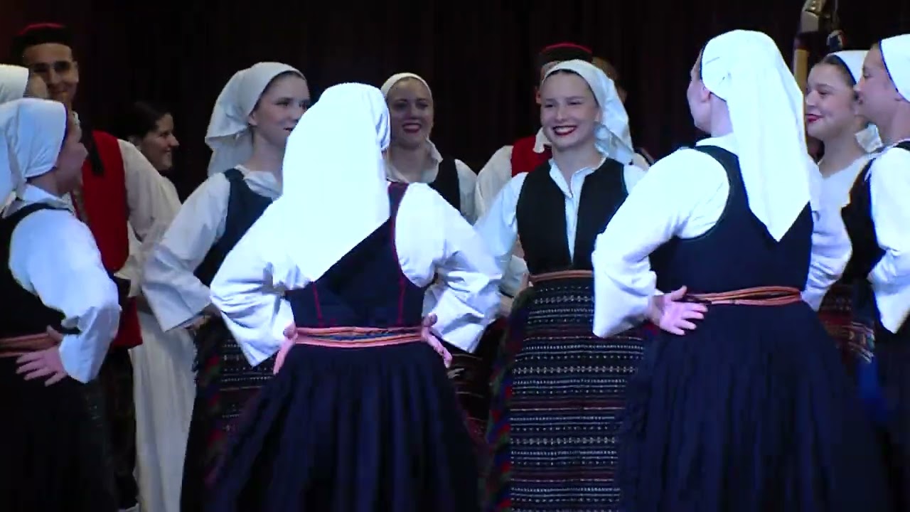 DELOVSKO VESELJE 2024 short