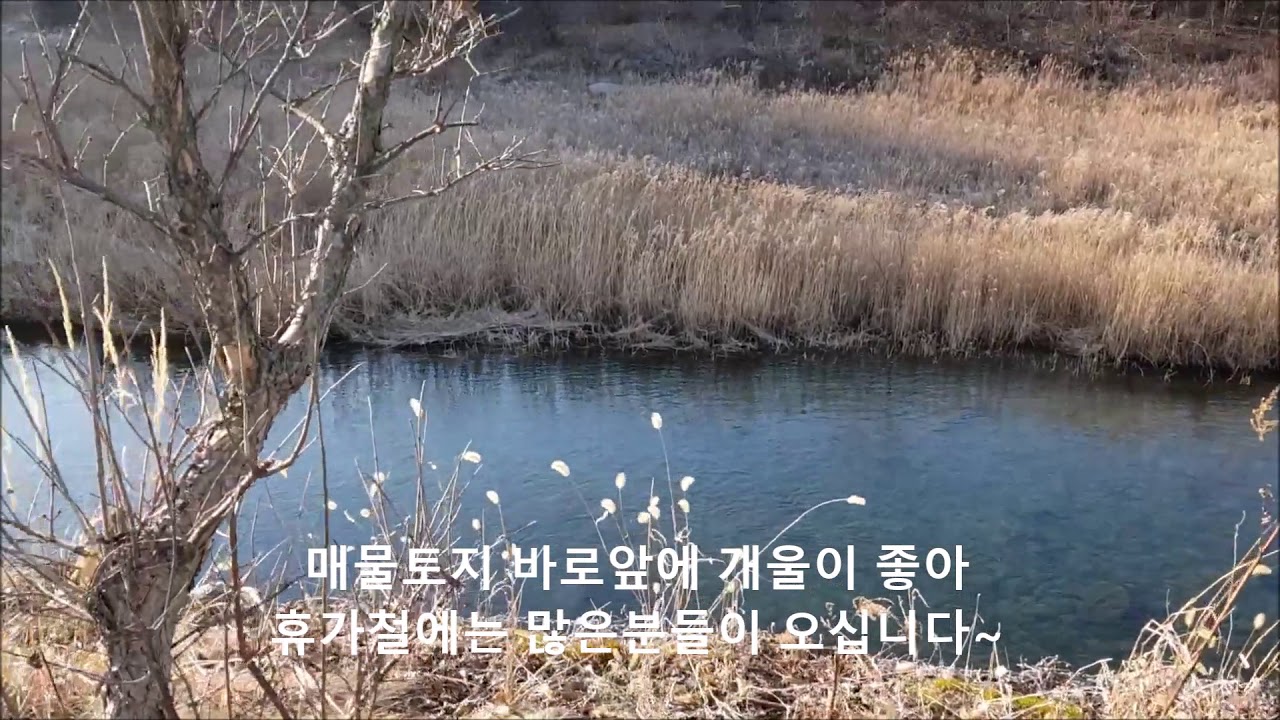 제천토지 제천팬션부지 제천가든부지 [온나라공인중개사사무소]