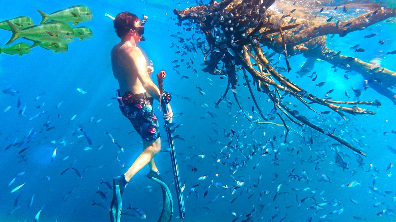 We Can't Believe it! AMAZING Find While Offshore Spearfishing!