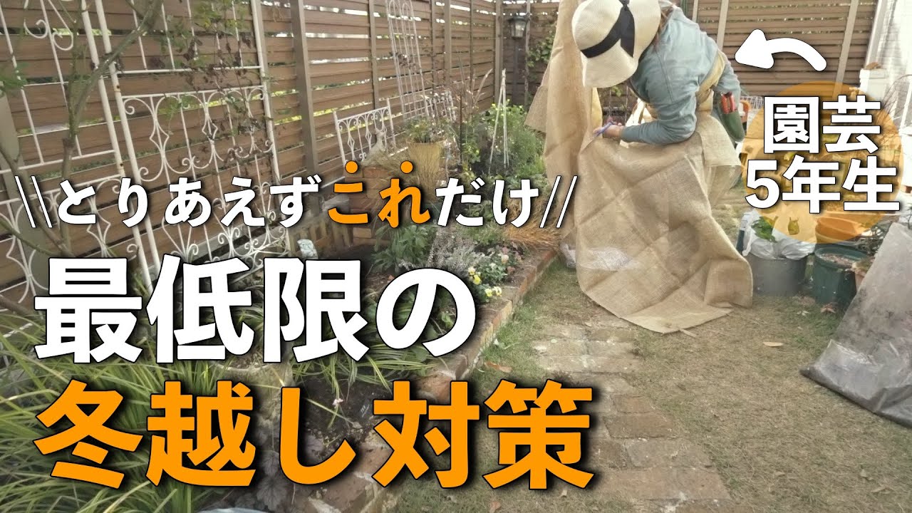 年内に済ませたい最低限の冬越し対策＆庭仕事｜自家製腐葉土を仕込む｜小さな庭のガーデニング