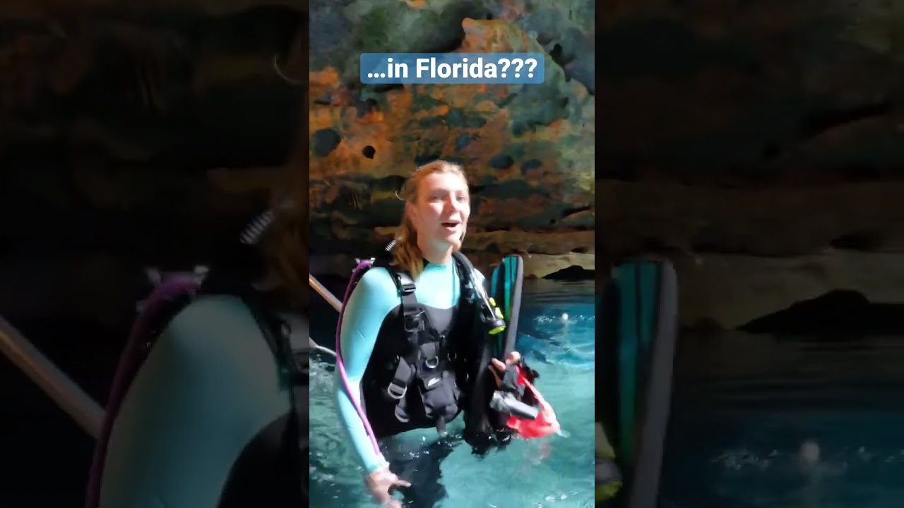 Devils Den is Florida&rsquo;s most exotic dive site