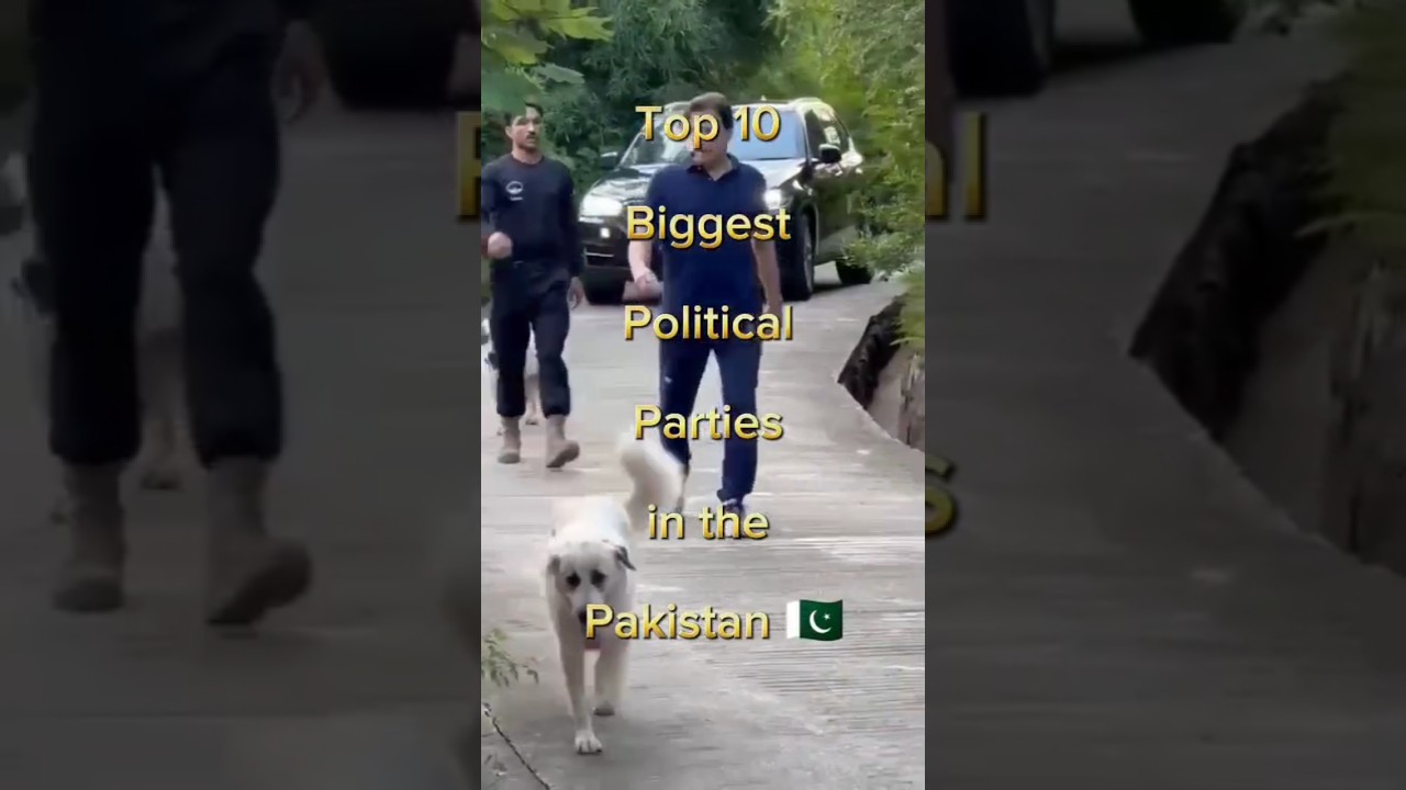 #Top 10 biggest political parties in the Pakistan # political parties ki list
