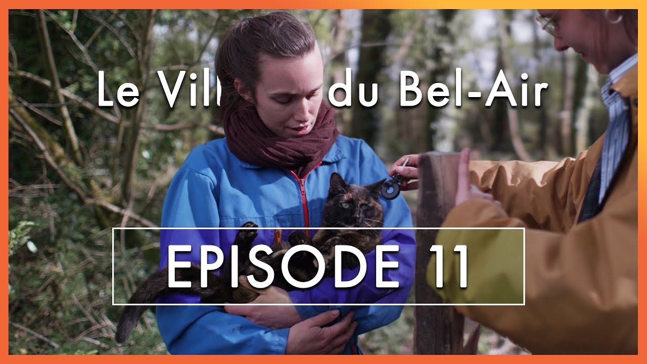 Episode 11 · La demande · Le Village du Bel-Air