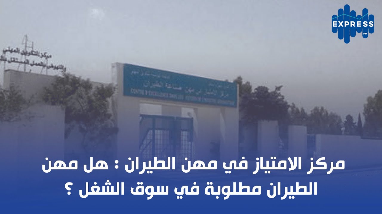 مركز الامتياز في مهن الطيران: هل مهن الطيران مطلوبة في سوق الشغل ؟
