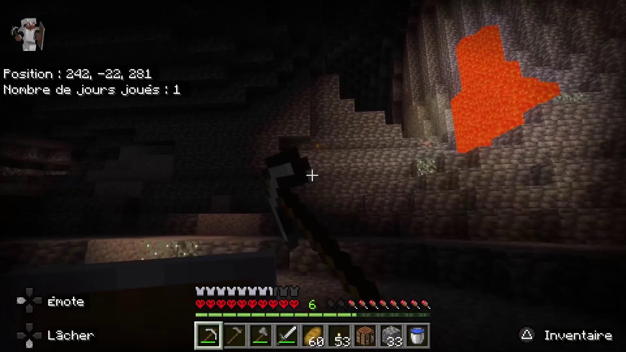 Survie Minecraft