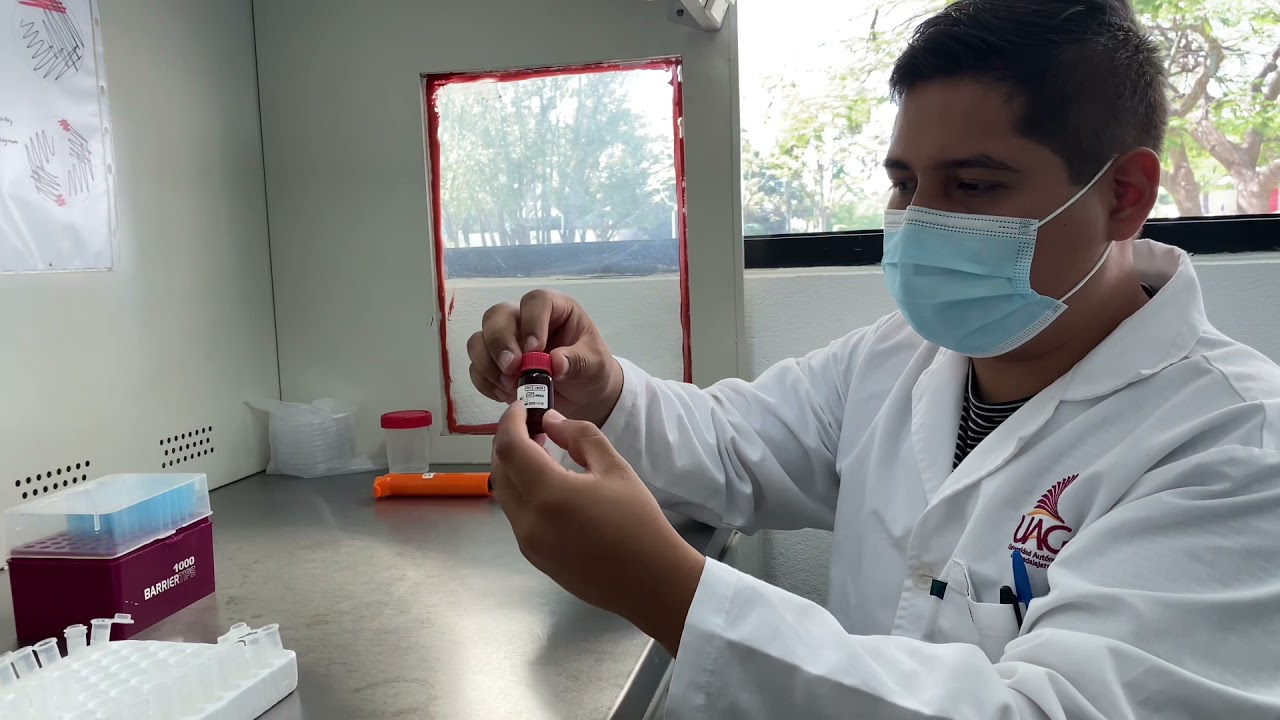 Preparación de sueros control para Química Clinica
