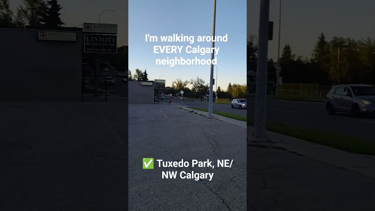 WALKING EVERY CALGARY NEIGHBORHOOD: Tuxedo Park #cnek #calgary #calgaryneighborhoods #yyc