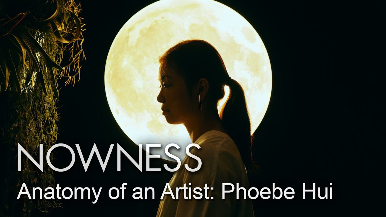 Anatomy of an Artist: Phoebe Hui