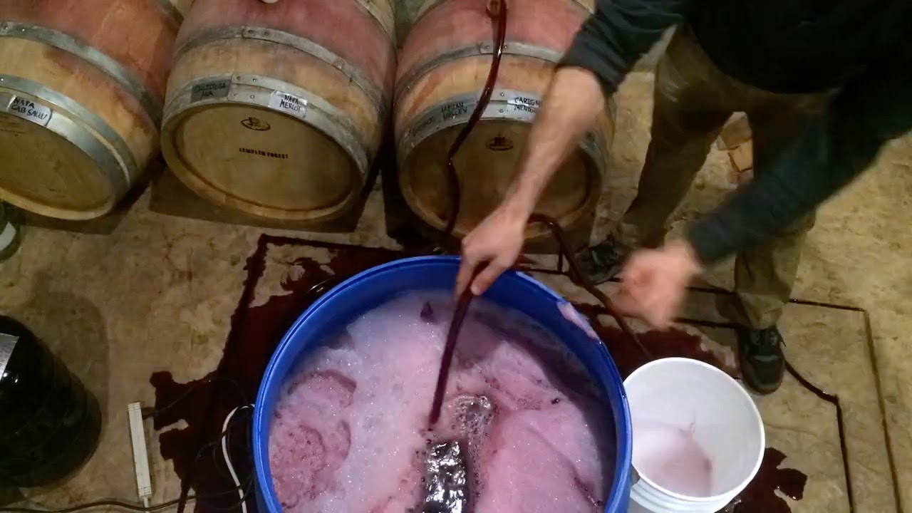 Winemaking Accident: Hose Slips Out While Racking and Spills Wine Everywhere