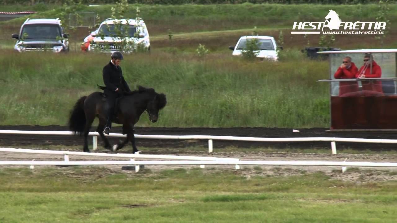 Spuni frá Vesturkoti milliriðill