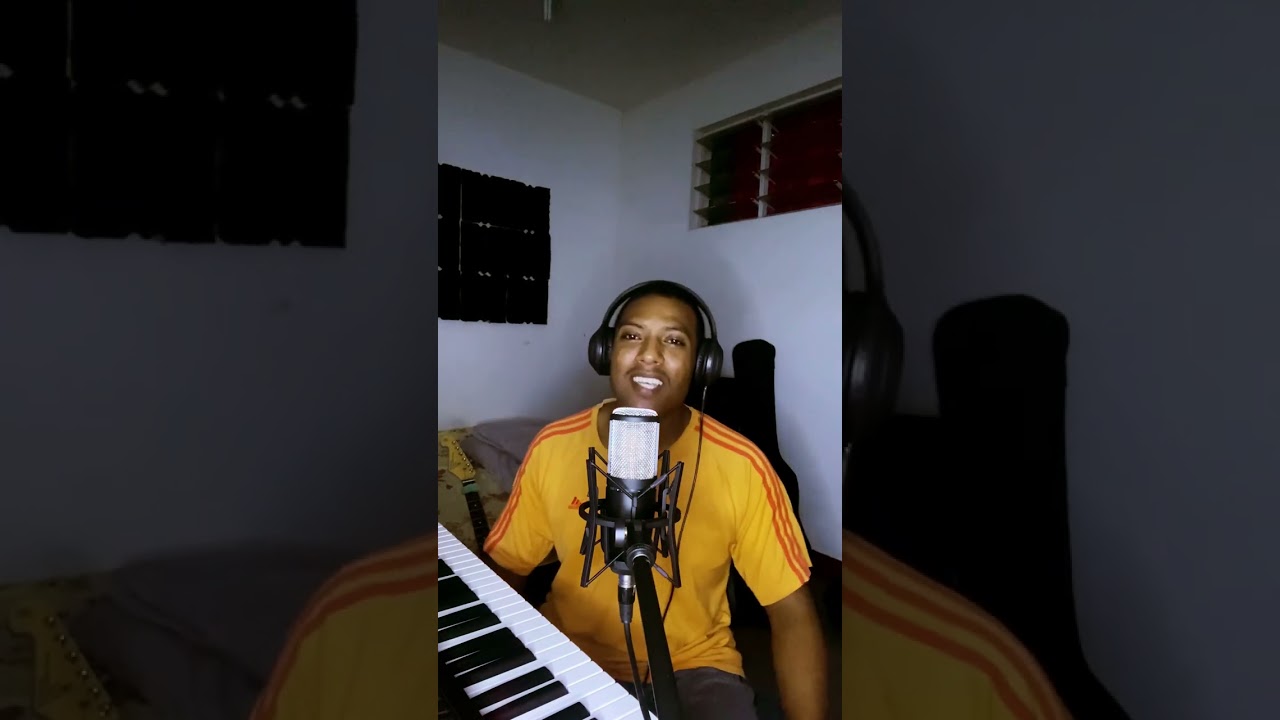 La vérité de Patrick Brunet- Cover par Ti Pato
