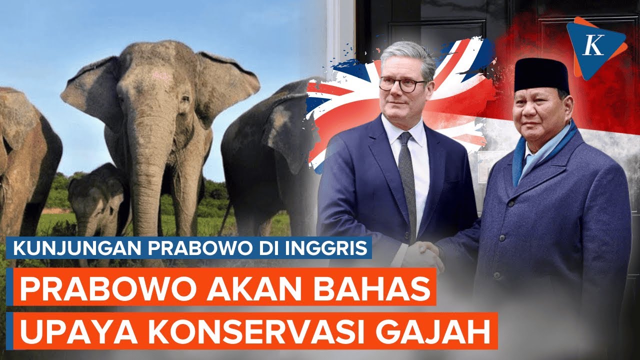 Agenda Prabowo di Inggris, Bahas Tanahnya di Aceh untuk Gajah