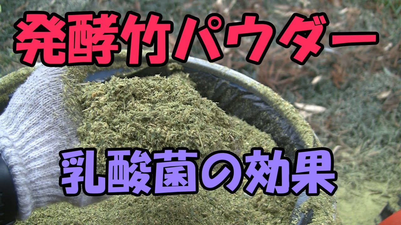 【発酵竹パウダー】発酵竹パウダーの作り方・効果