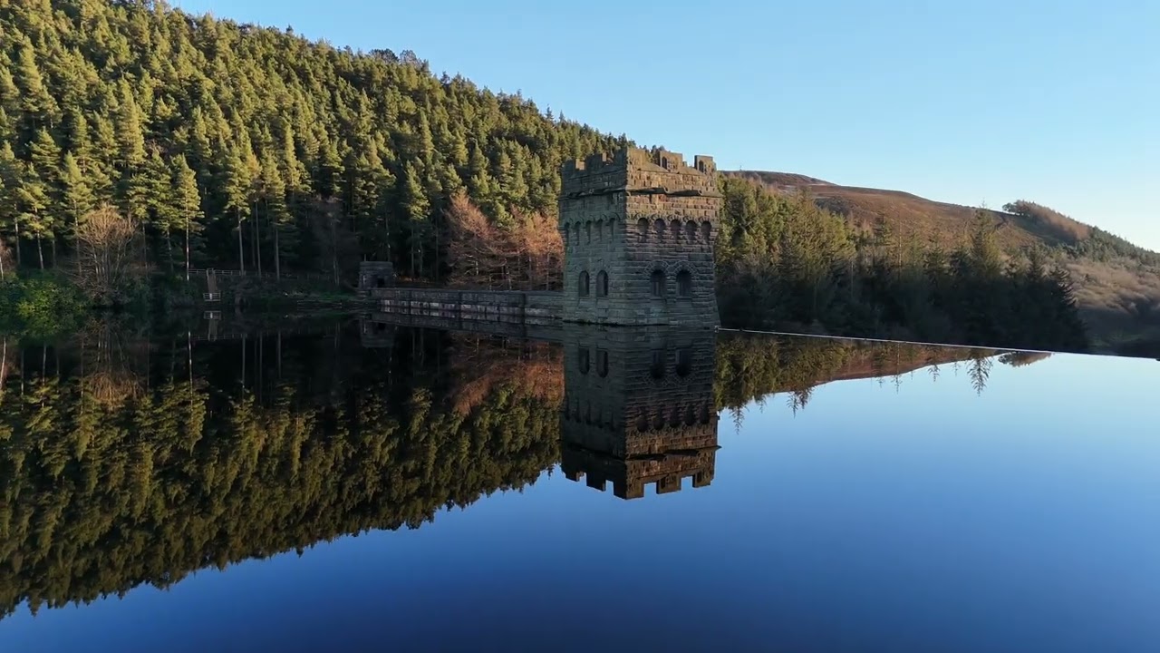 Reflections of Solitude | ​Echoes on the Water