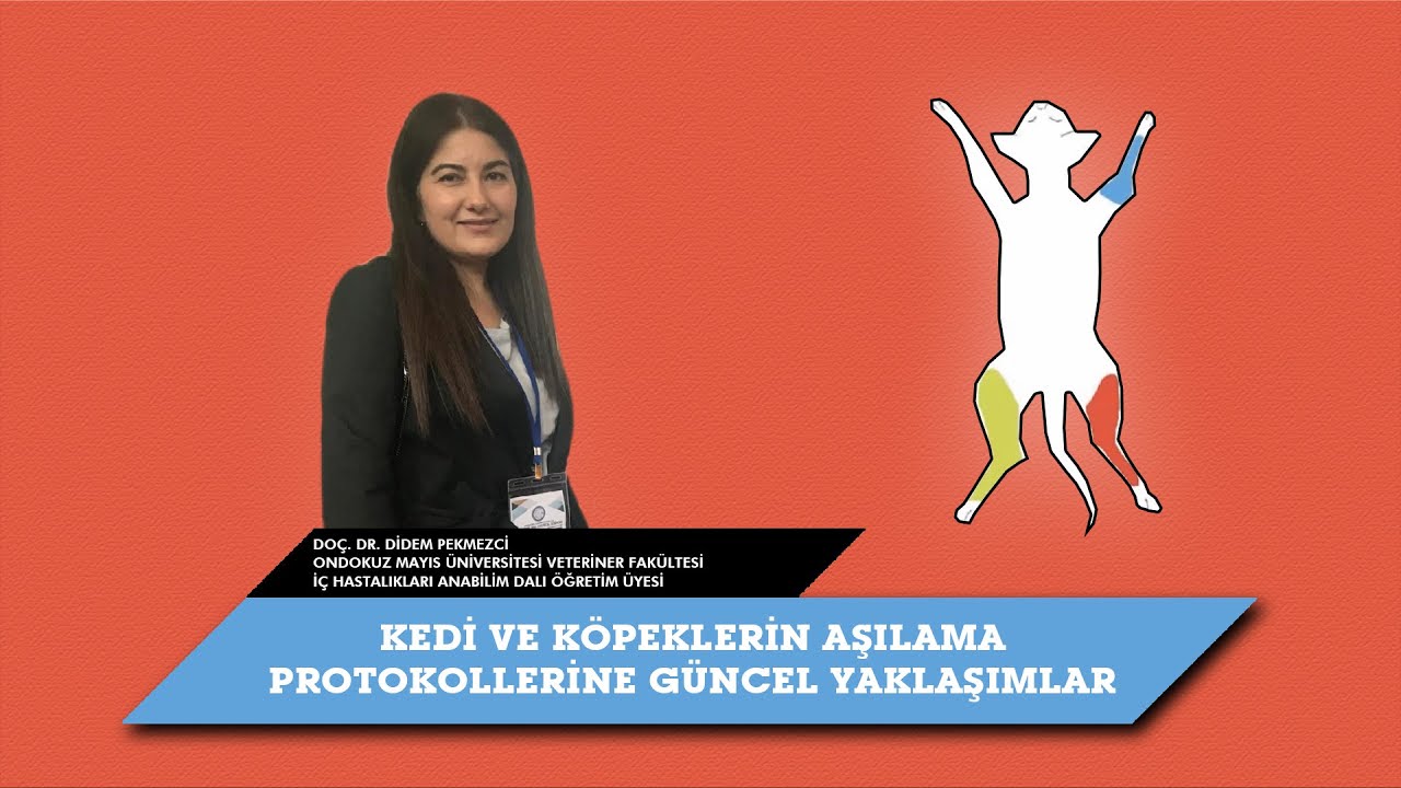 Kedi ve Köpeklerin Aşılama Protokollerine Güncel Yaklaşımlar