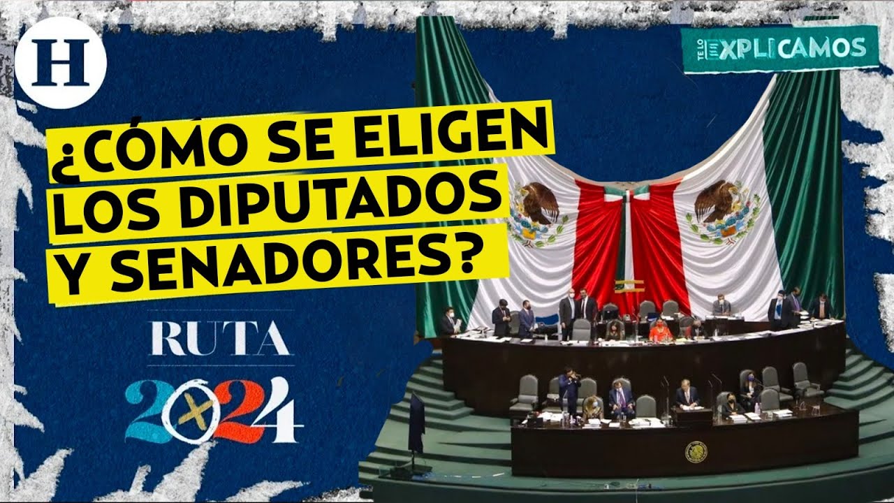 Ruta 2024: ¿Cómo se elegirán a los Diputados y Senadores del país el próximo año? | Te lo explicamos