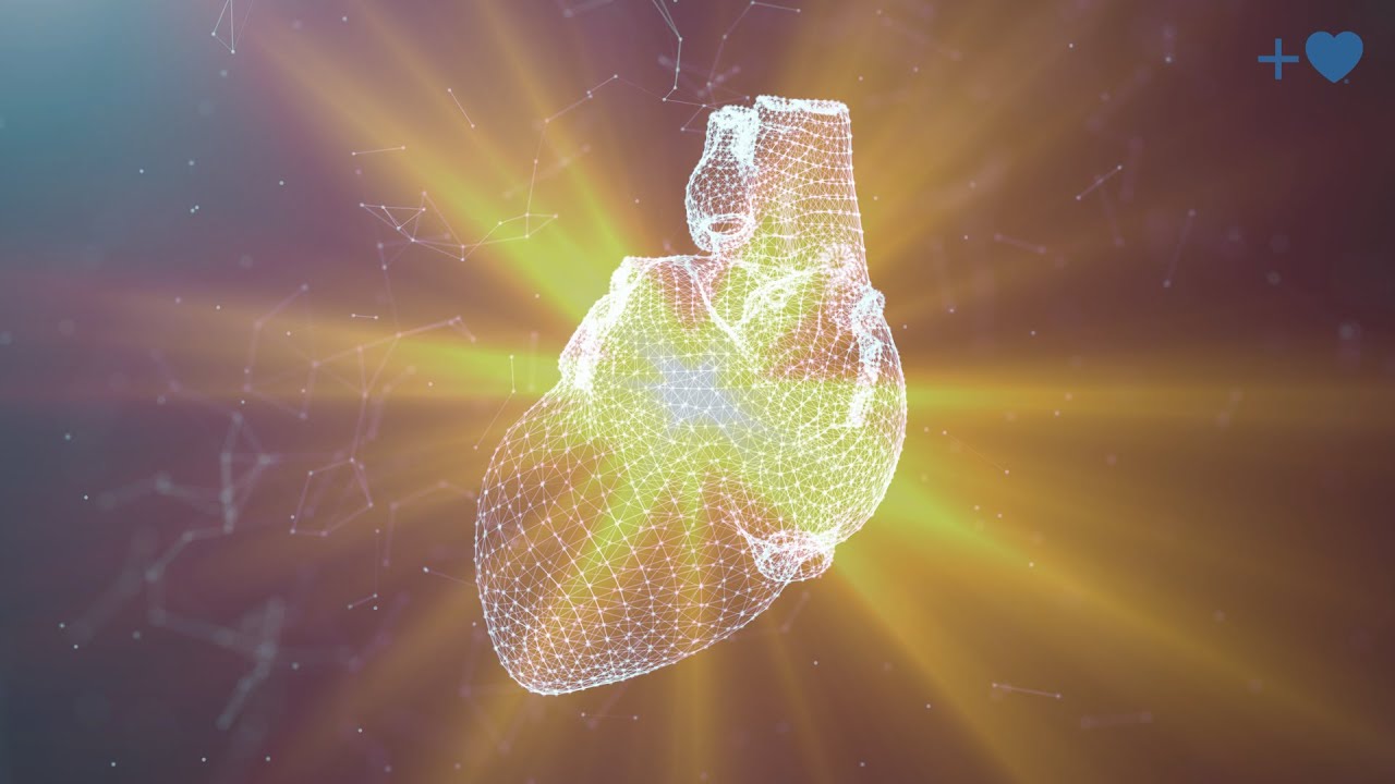 The Heart Of Our Mission: Co-Creating A Kinder, More Compassionate World
