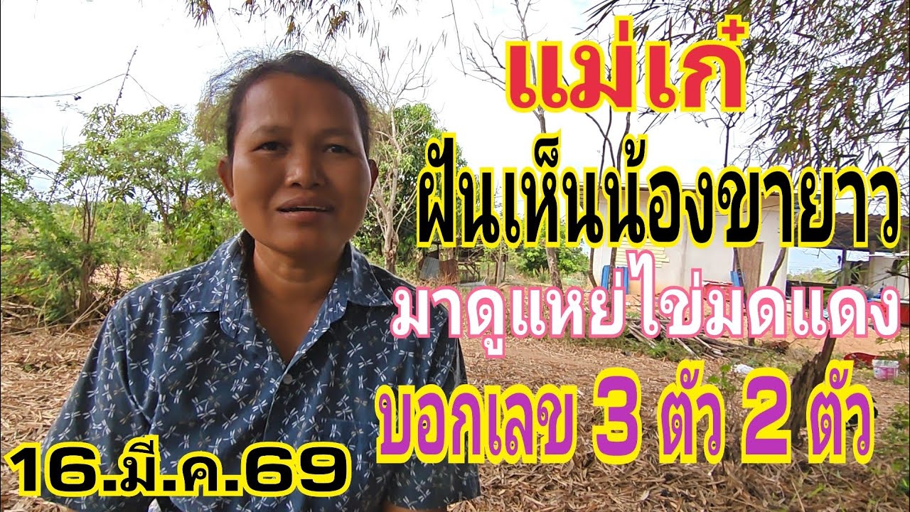 แม่เก๋  ฝันแหย่ไข่มดแดง น้องขายาวตามมาบอกเลข 3 ตัว 2 ตัว 6.มี.ค.69#ลาวพัฒนา 