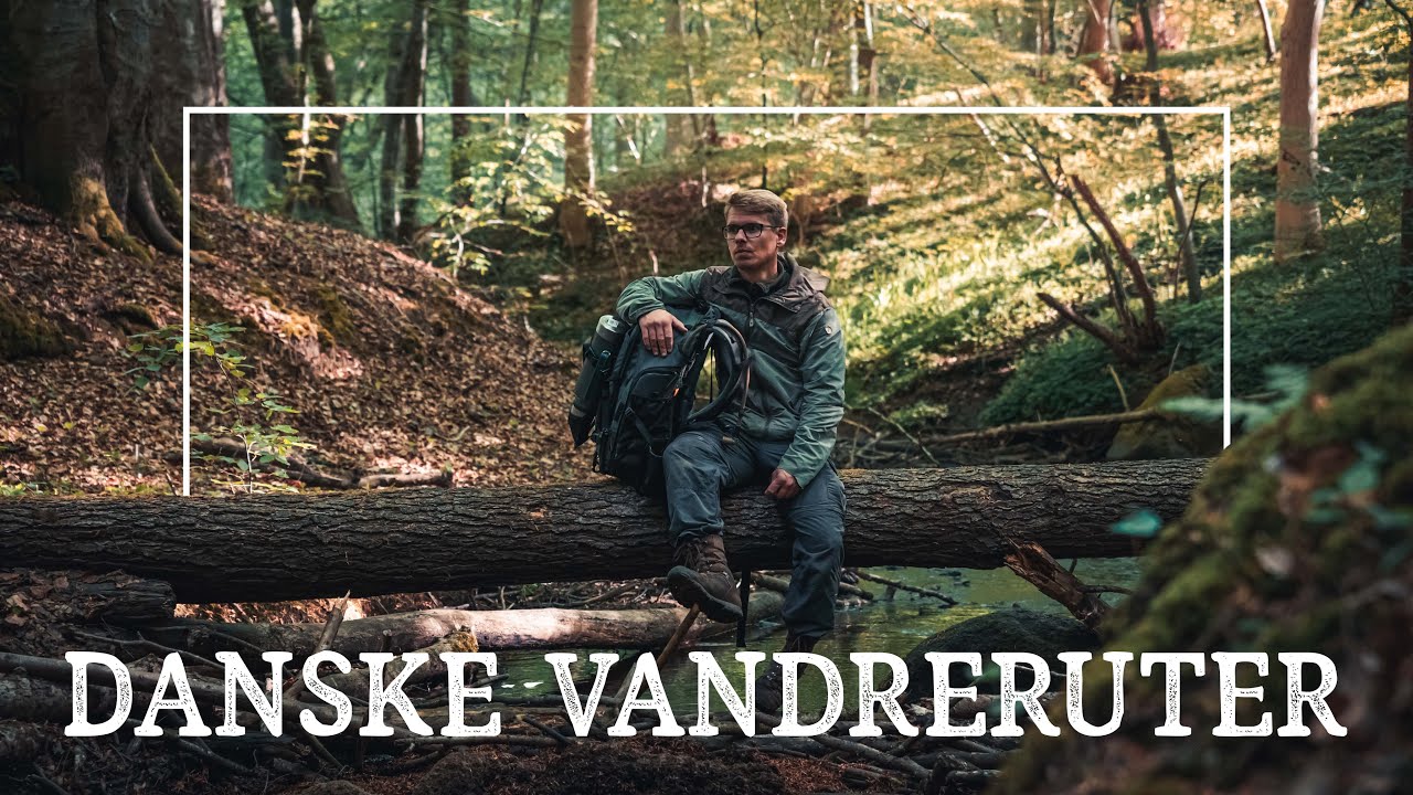 En vandretur gennem Klokkedal skov