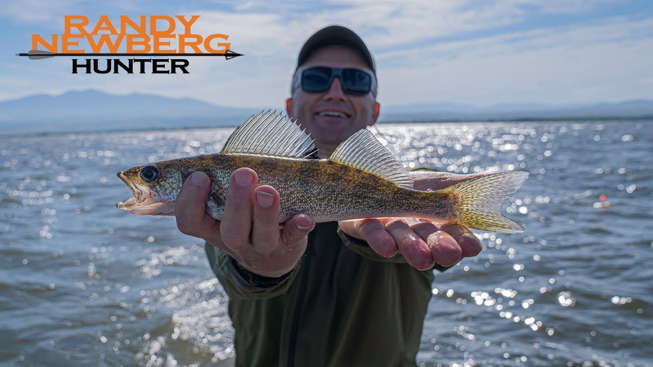 Walleye Fishing Montana with Randy Newberg
