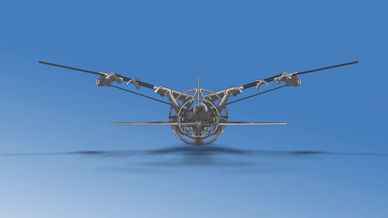 RC BIRD mechanism