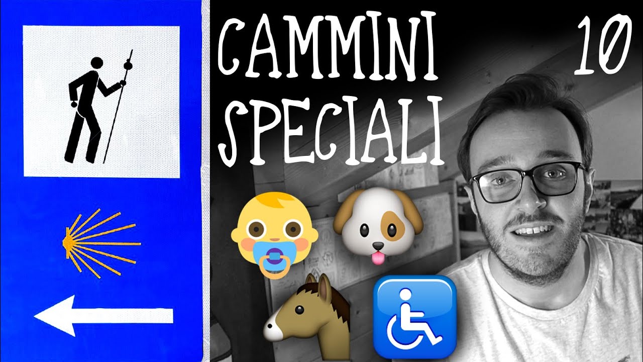 GUIDA al CAMMINO di SANTIAGO • Con bambini 👶 | Su sedia a rotelle ♿ | Con cani e animali 🐾 (ep.10)