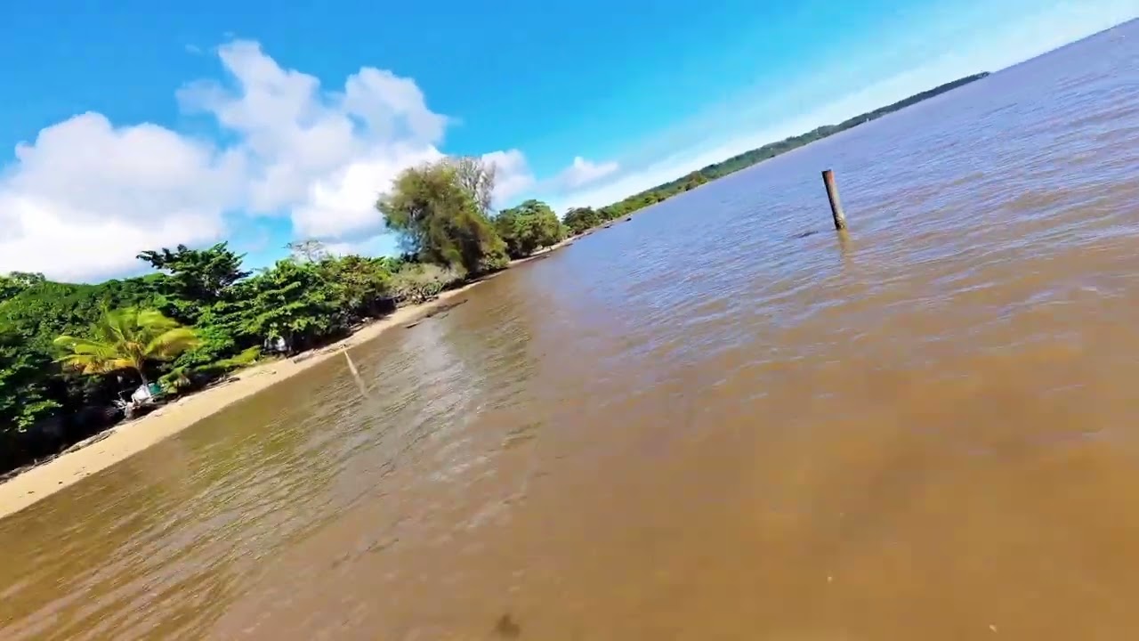 Cruising the Sea