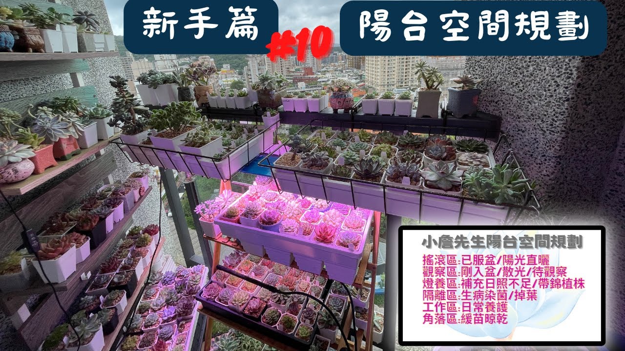 多肉陽台黨必看｜400多盆怎樣塞下不到雙人床大的陽台｜陽台養護空間規劃與分享【新手篇】第10彈 #balcony  #succulents #多肉植物 ＃陽台黨