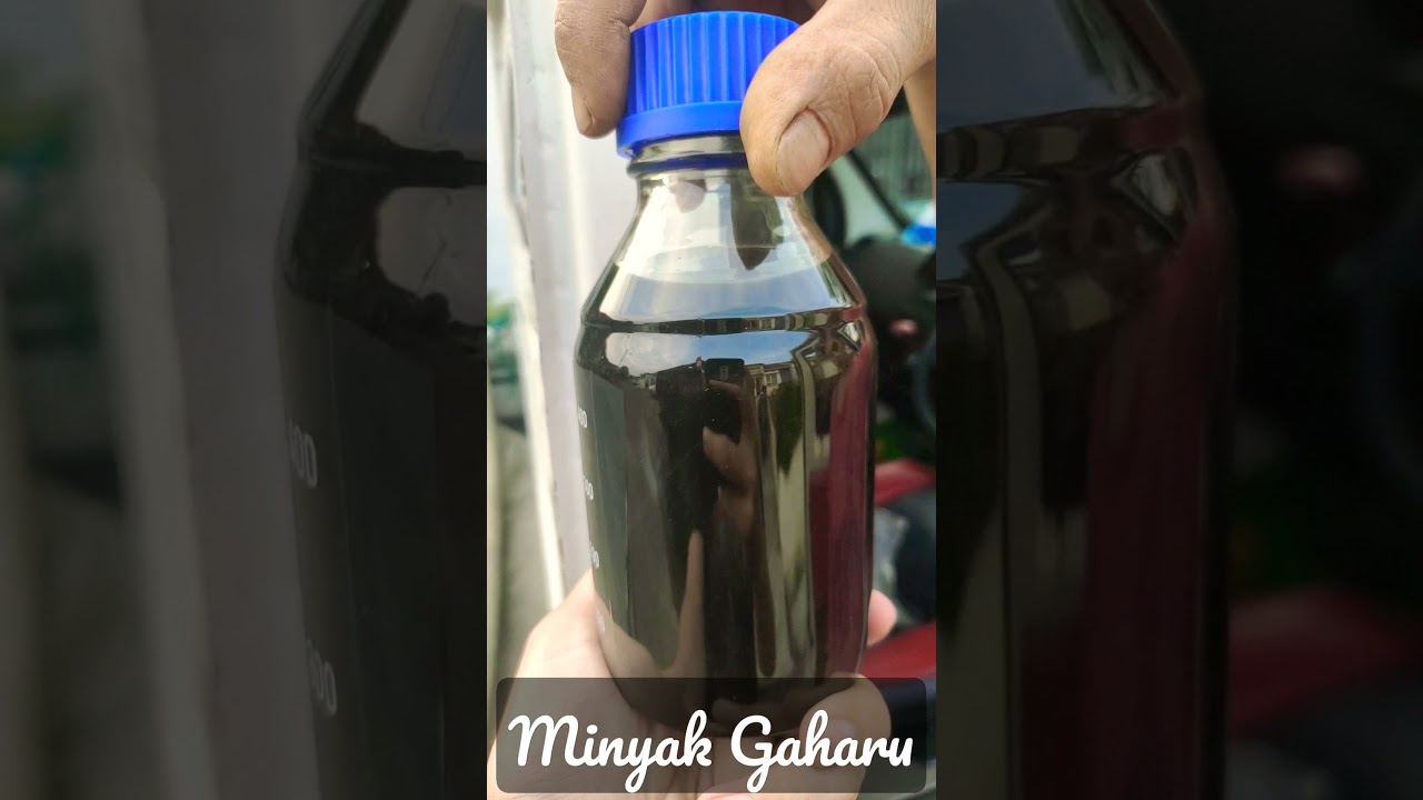 Minyak Gaharu Asli Indonesia 1Kg tembus 80jt